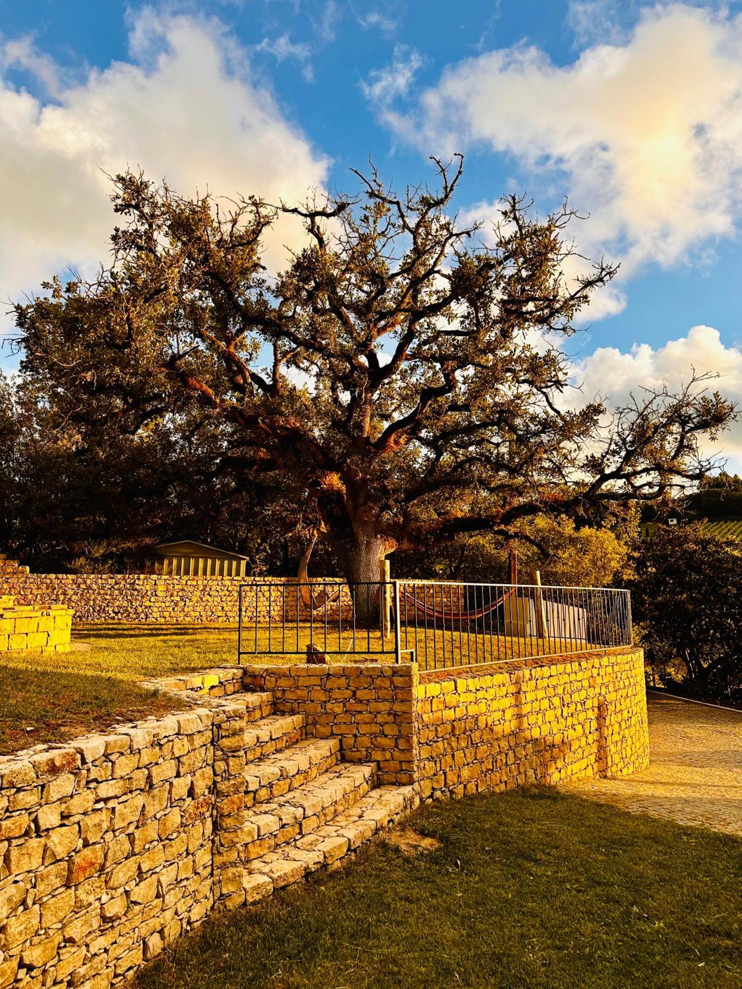 Villa Quinta Boa Vida Alcobaça Exterior foto